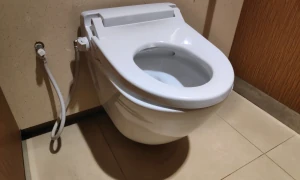 Déboucher un WC sans produit chimique : méthode sûre