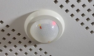 Alarme sonne toute seule sans raison : que vérifier