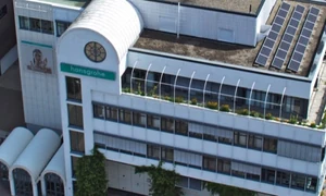 Hansgrohe ou Grohe : quelle robinetterie choisir