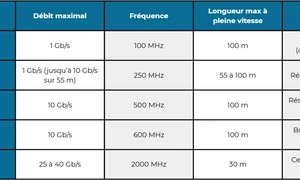 CPL ou câble RJ45 : que choisir pour une connexion stable