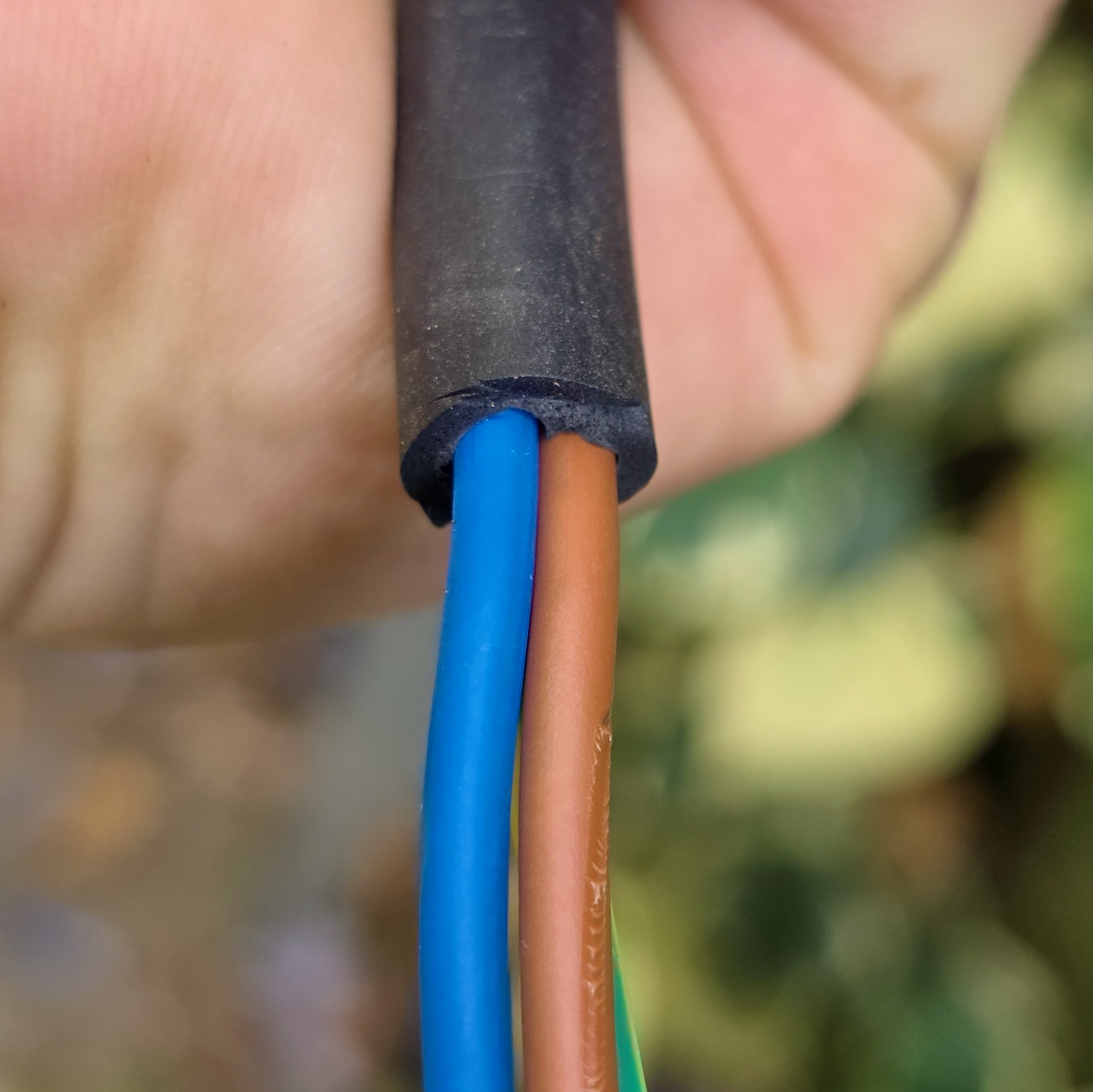 Primer plano de un cable negro pelado sujeto en la mano, tres hilos aislados azul, marrón y verde-amarillo salen de la funda