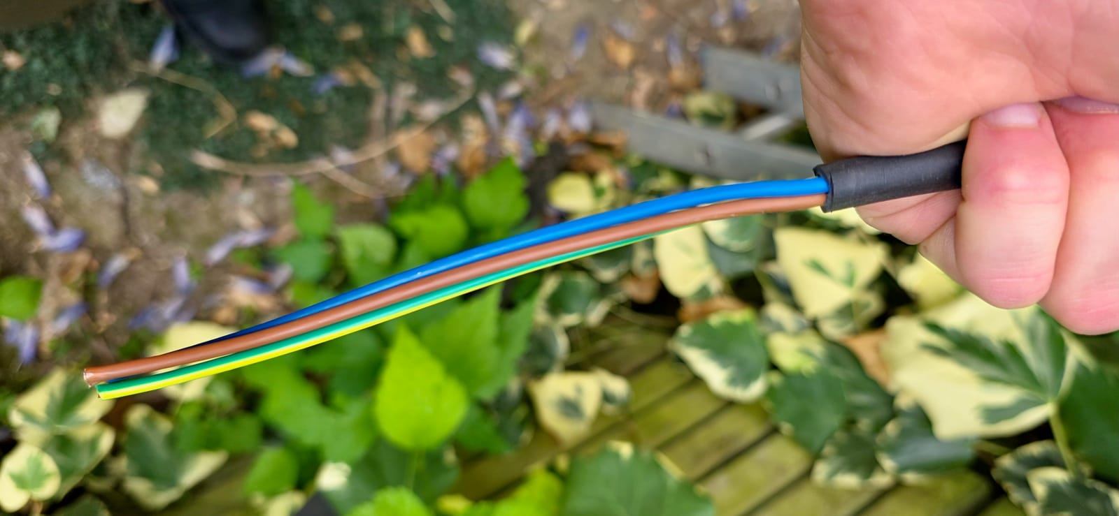 Câble R2V 2,5 mm² dénudé par le Knipex ErgoStrip, conducteurs apparents