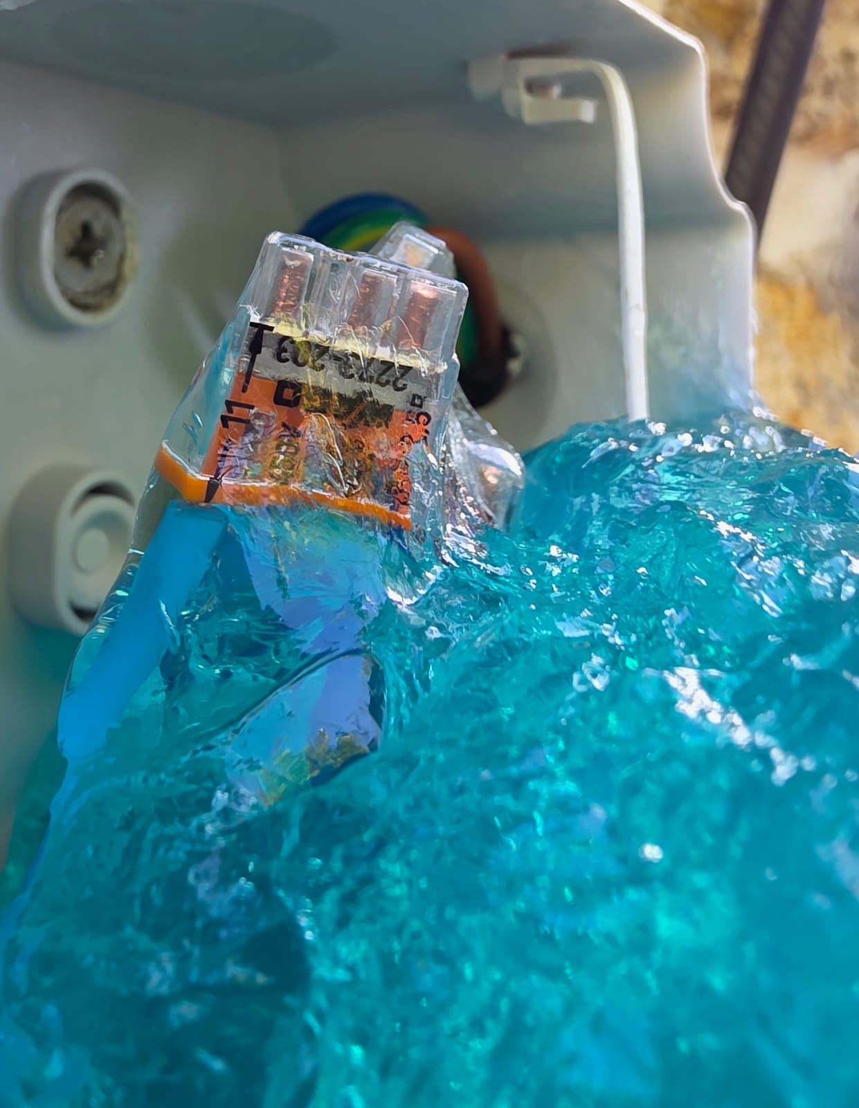 Connecteur Wago 2273-203 recouvert de gel bleu d’étanchéité dans une boîte de dérivation