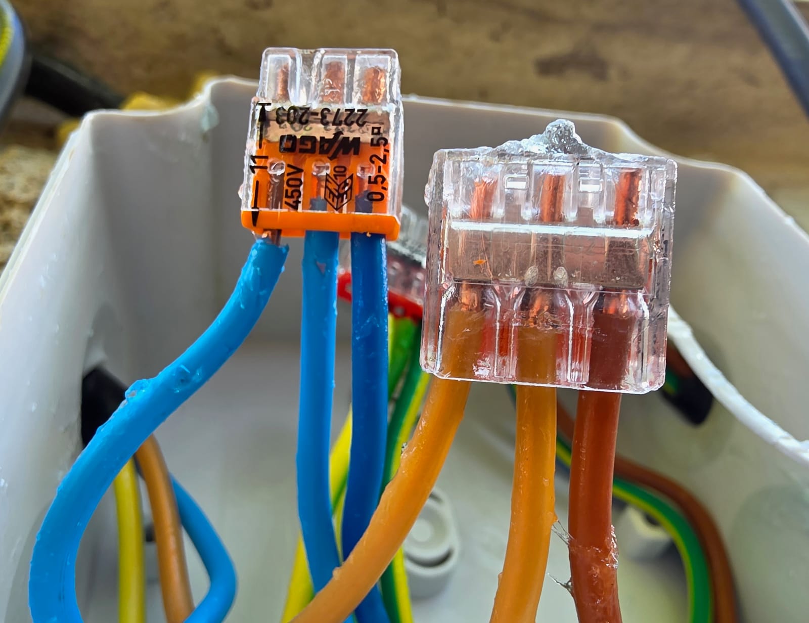 Gros plan sur des bornes Wago 2273-203 avec fils bleus et oranges recouverts de gel dans une boîte de dérivation blanche