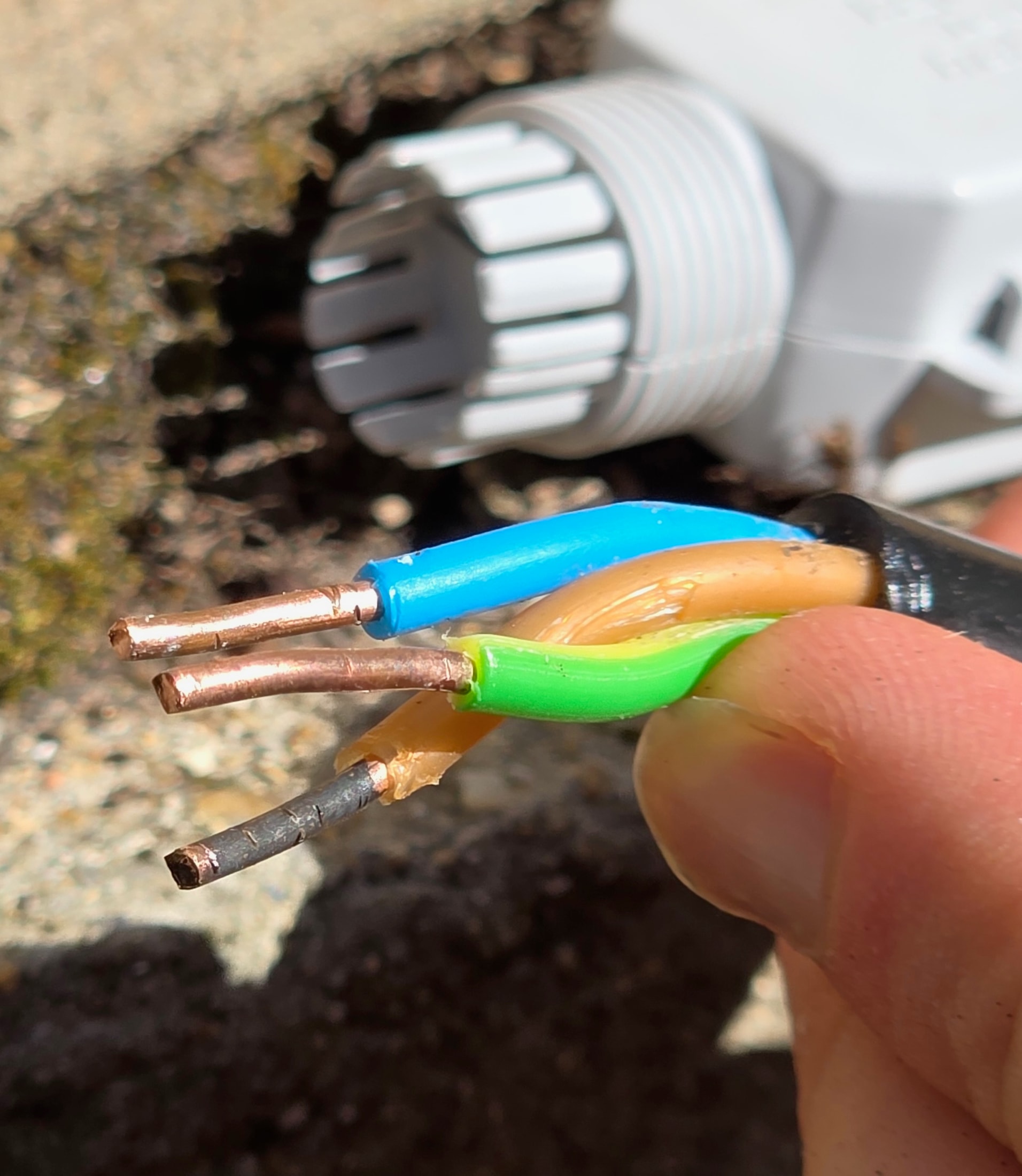 Fils électriques dénudés dont un fil de phase noir brûlé tenu en main, à cause d’un ancien connecteur bas de gamme Amazon qui a fait surchauffer