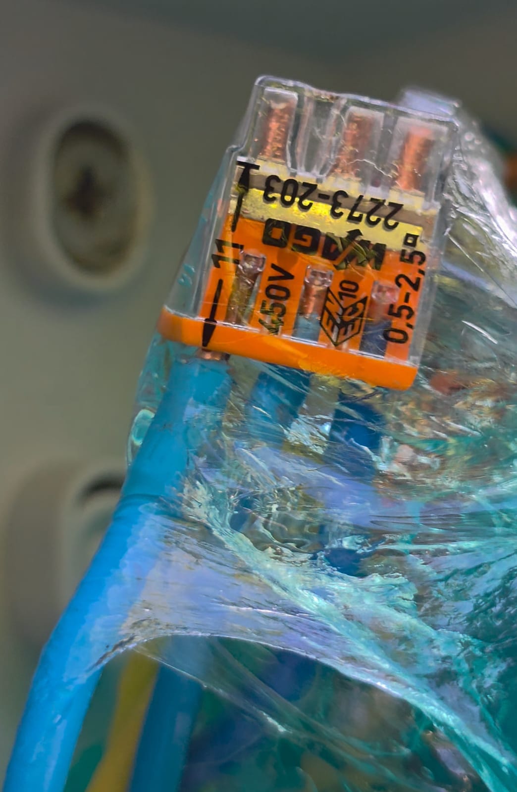 Très gros plan sur un connecteur Wago 2273-203 450 V enrobé de gel bleu d’étanchéité