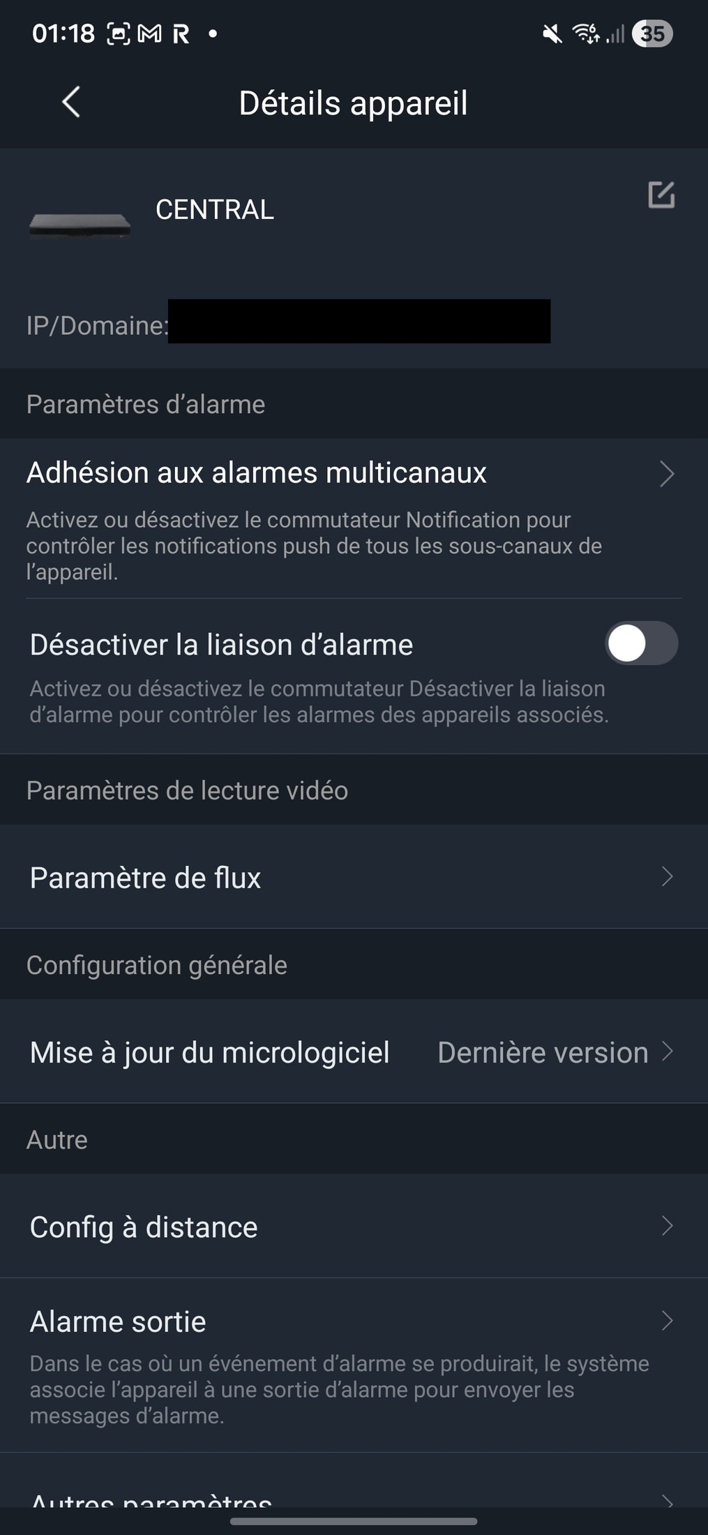 Application DMSS affichant les détails du NVR avec la ligne IP/Domaine