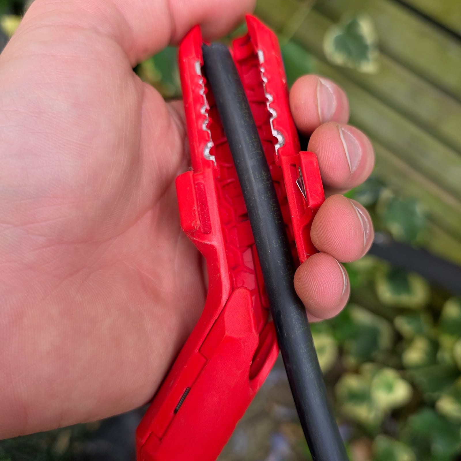 Knipex ErgoStrip en action dans une main pendant le dénudage d’un câble R2V 2,5 mm²