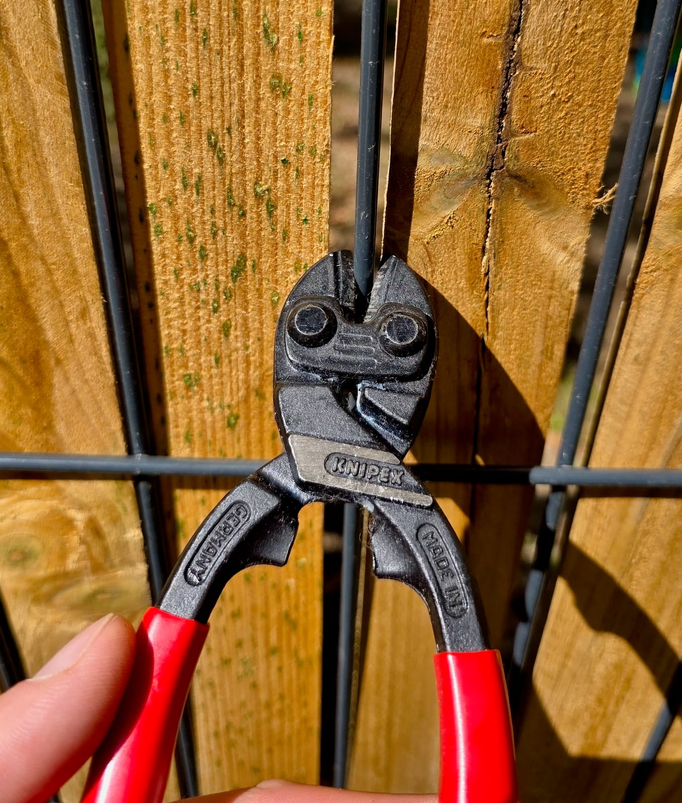Coupe-boulons compact Knipex Cobolt 200 mm en action sur du grillage métallique
