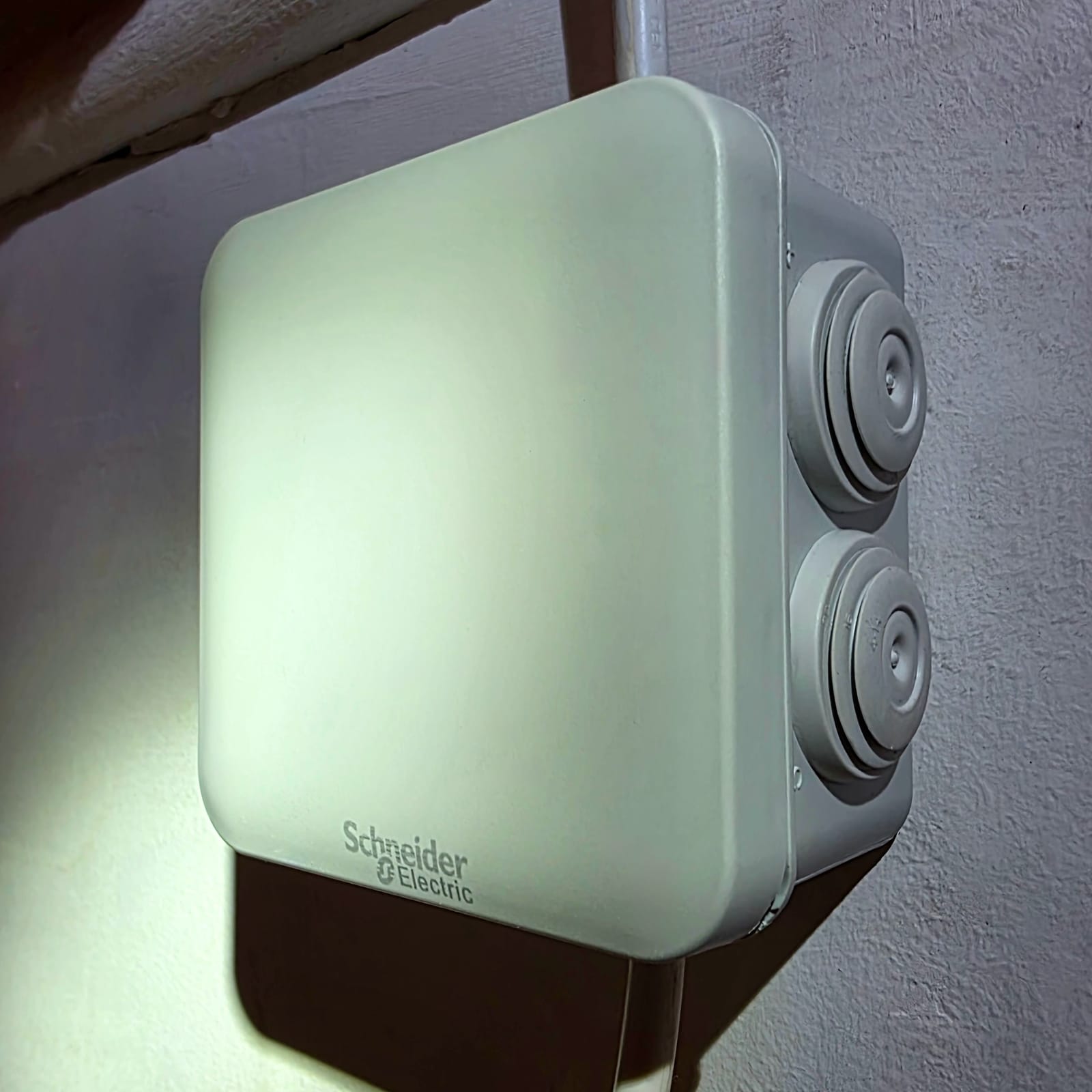 Boîte de dérivation Schneider IP55 avec conducteurs électriques