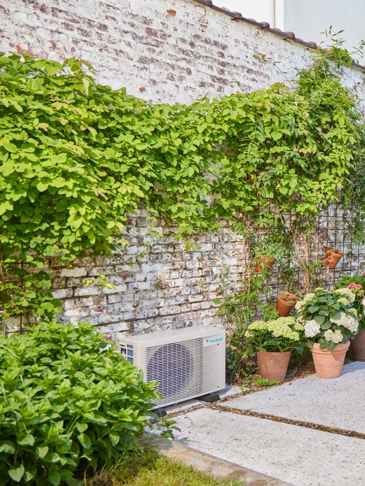 Unité extérieure Daikin au pied d’un mur et entourée de végétaux