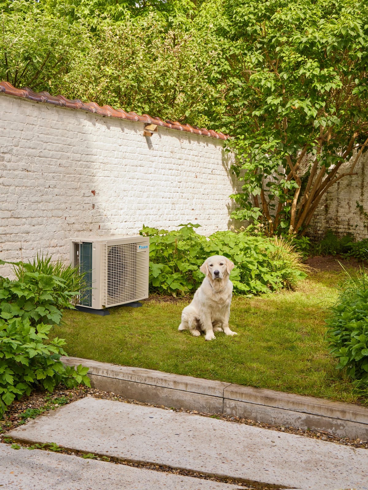 Groupe extérieur Daikin dans un jardin végétalisé