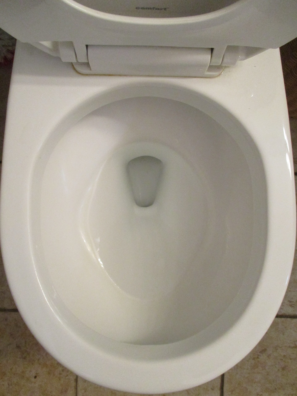Cuvette de WC blanche vue de dessus, siège relevé, eau au fond et orifice de sortie au centre