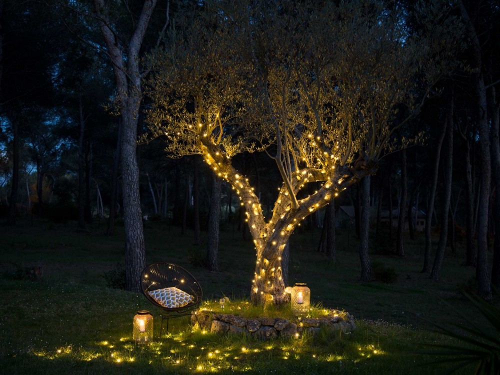 Un arbre de jardin illuminé la nuit par des guirlandes lumineuses enroulées autour de son tronc et de ses branches.