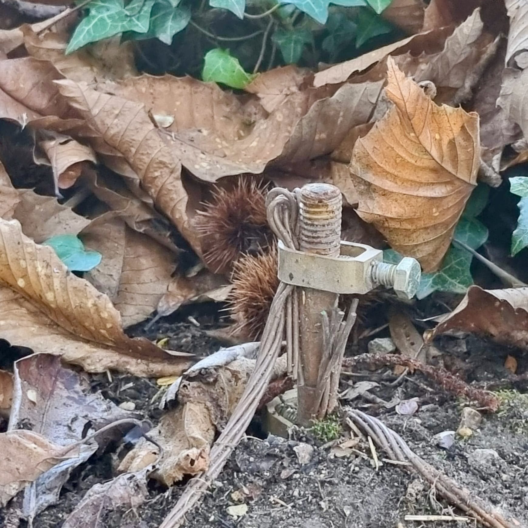 Piquet de terre dans un jardin vu de près