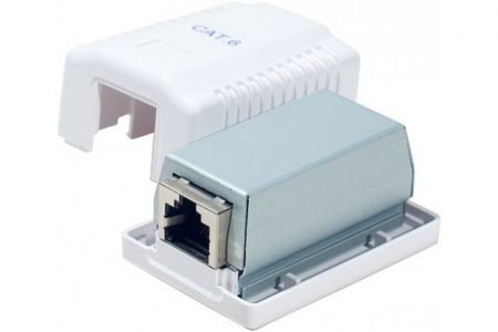 Module keystone RJ45 gris avec capot de protection blanc ouvert, inscription CAT.6 visible