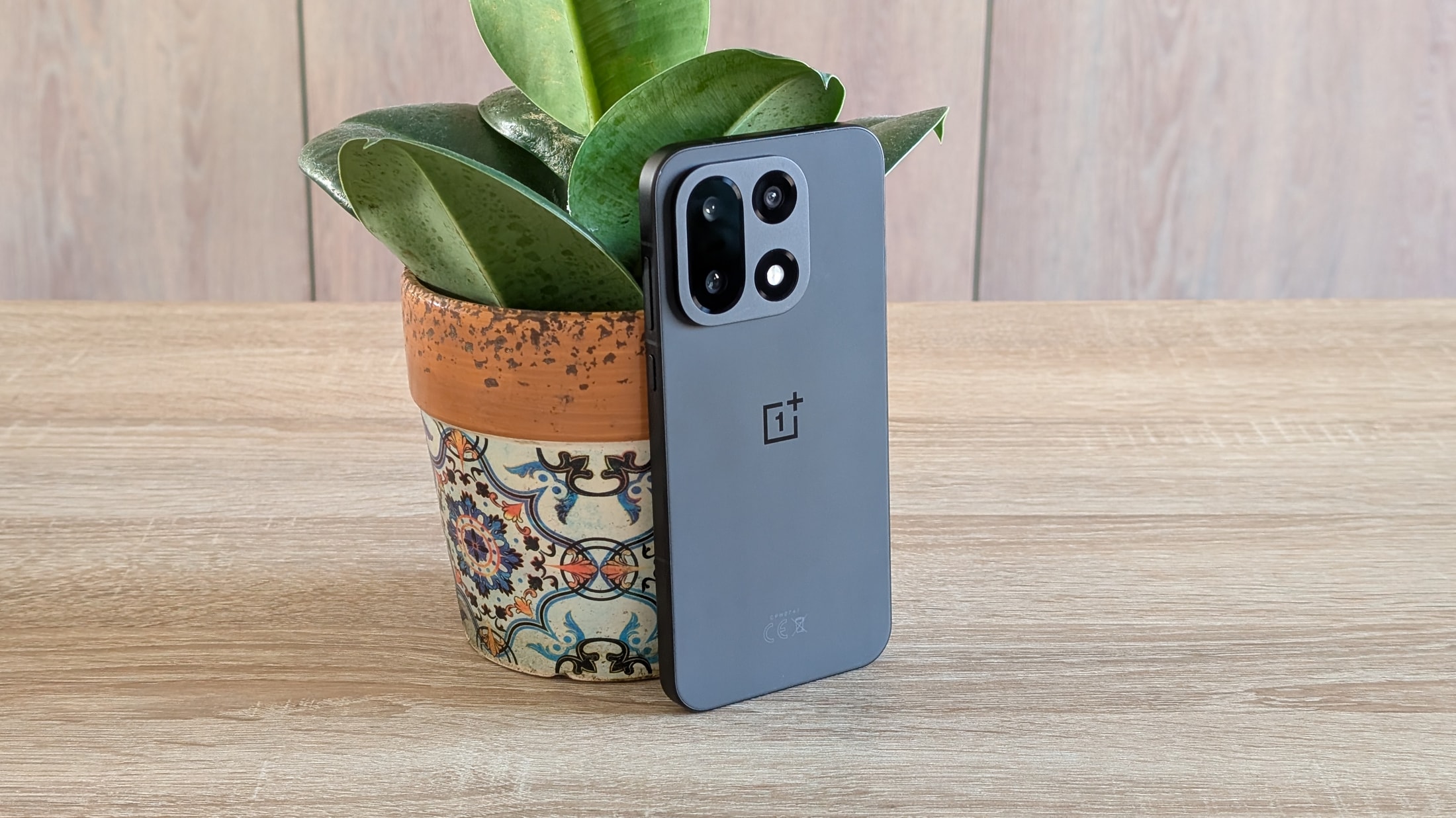 Un smartphone gris foncé avec le logo OnePlus est appuyé contre un pot de fleur décoré posé sur une table en bois.