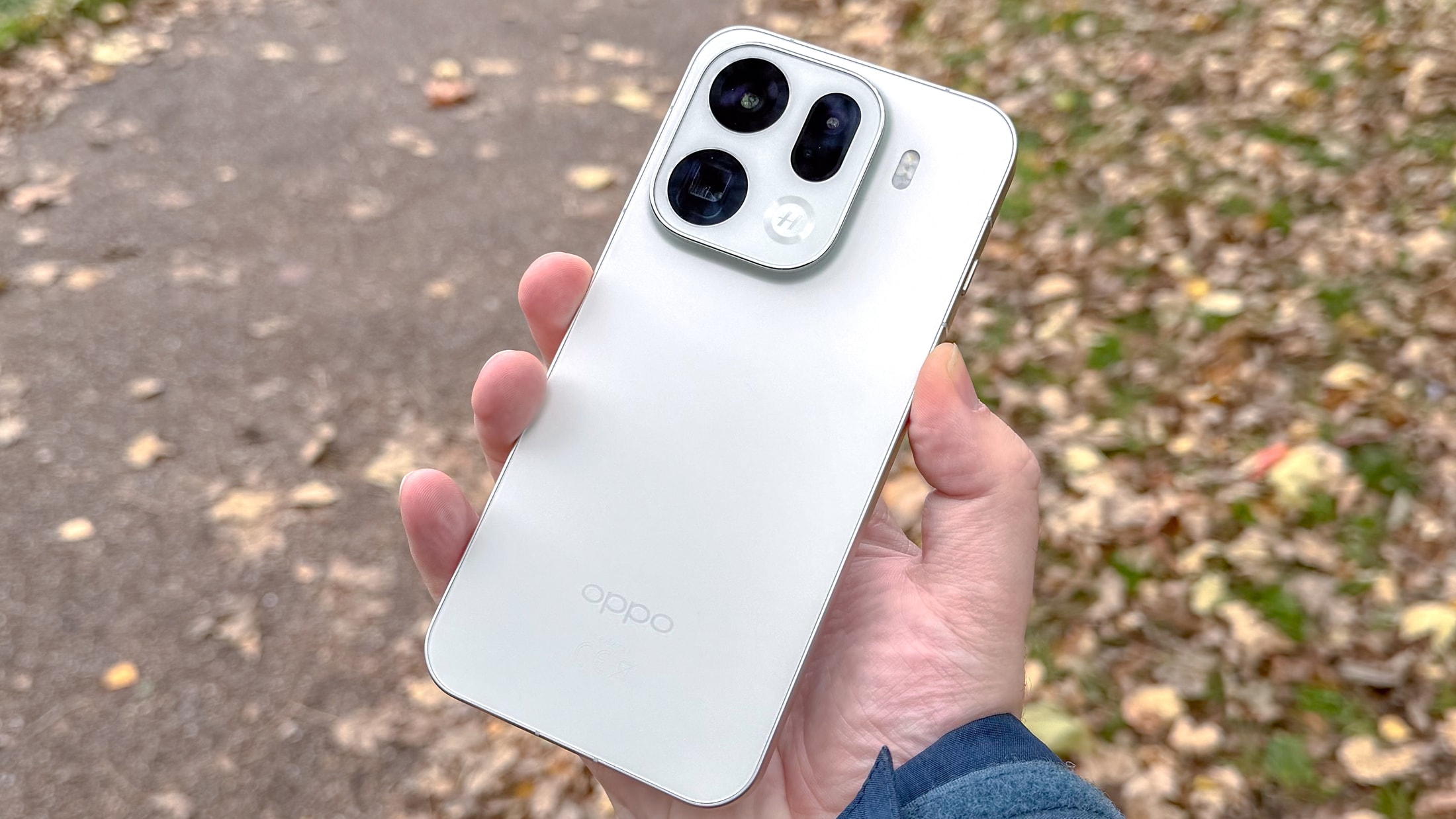 Une main tient un smartphone blanc Oppo de dos devant un chemin parsemé de feuilles.