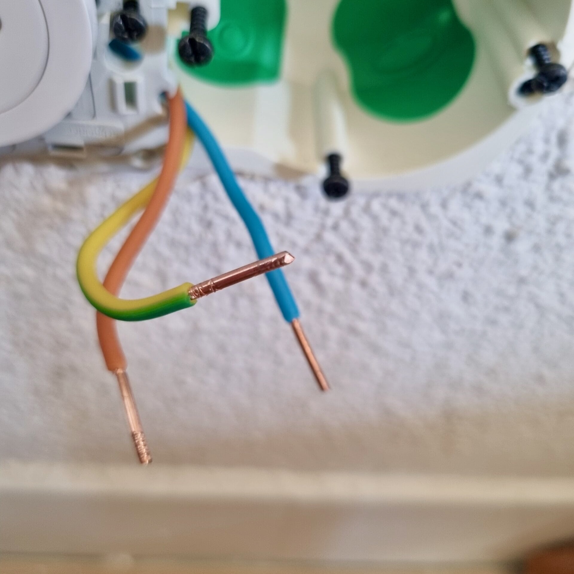 Fils terre phase neutre prise dans la main hors tension — câblage terre