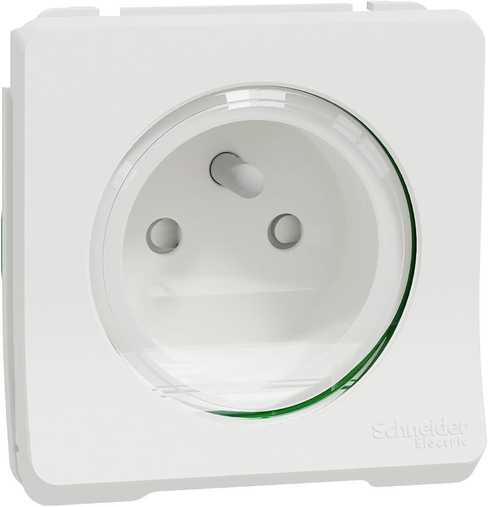 Prise de courant blanche avec cache transparent et joint vert portant le logo Schneider Electric.