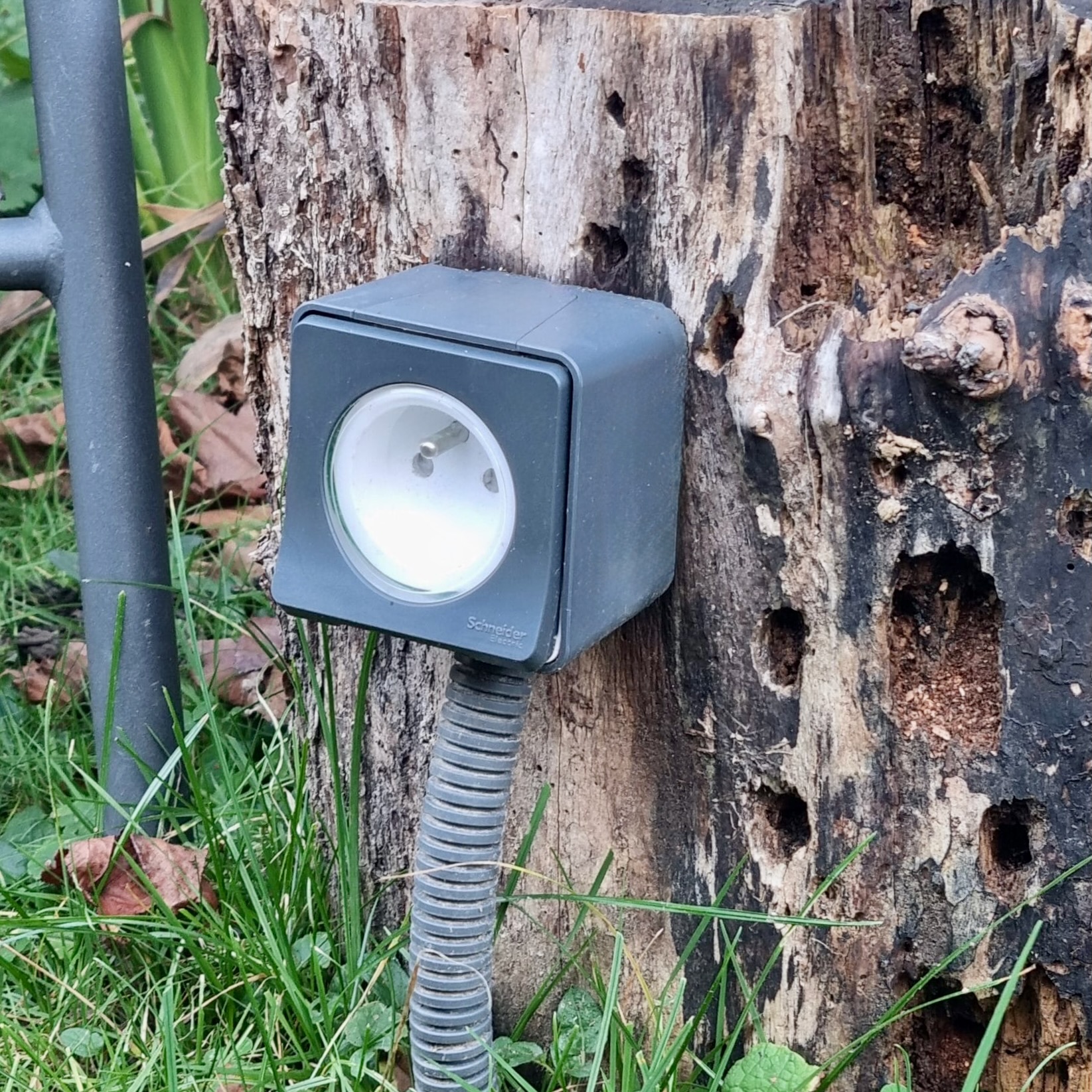 Prise Schneider Mureva Styl accrochée tronc d'arbre jardin