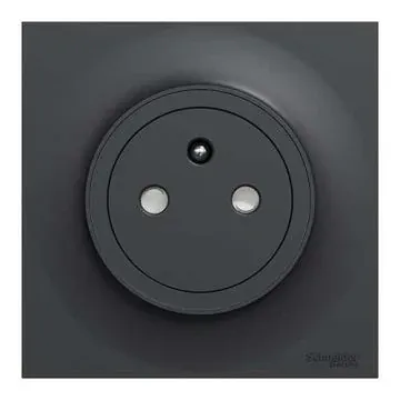 Prise Schneider Odace 2011 anthracite