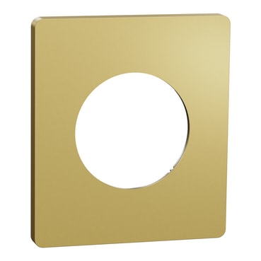 Plaque Schneider Odace Architecte laiton avec une seule ouverture de mécanisme